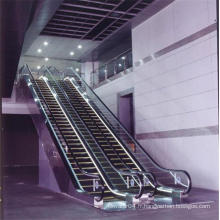 Vvvf Drive Indoor Escalator résidentiel Coût